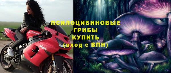 гидропоника Надым