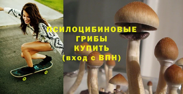 гидропоника Надым