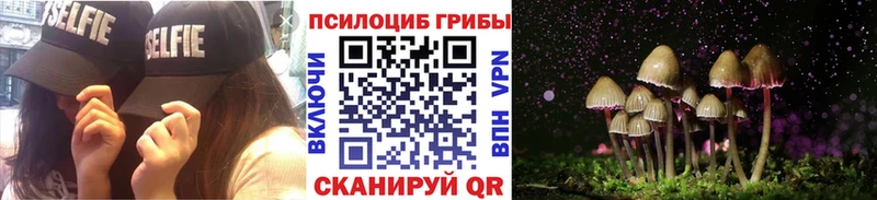 Галлюциногенные грибы GOLDEN TEACHER  купить наркотики сайты  Отрадная 